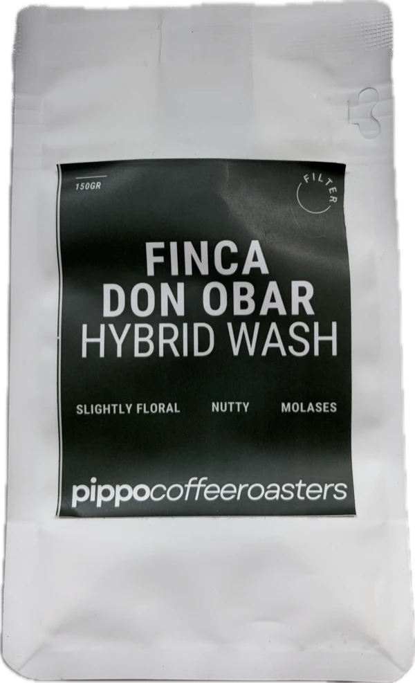 Pippo Coffee Roasters (Batam, Indonesia) - Indo Washed